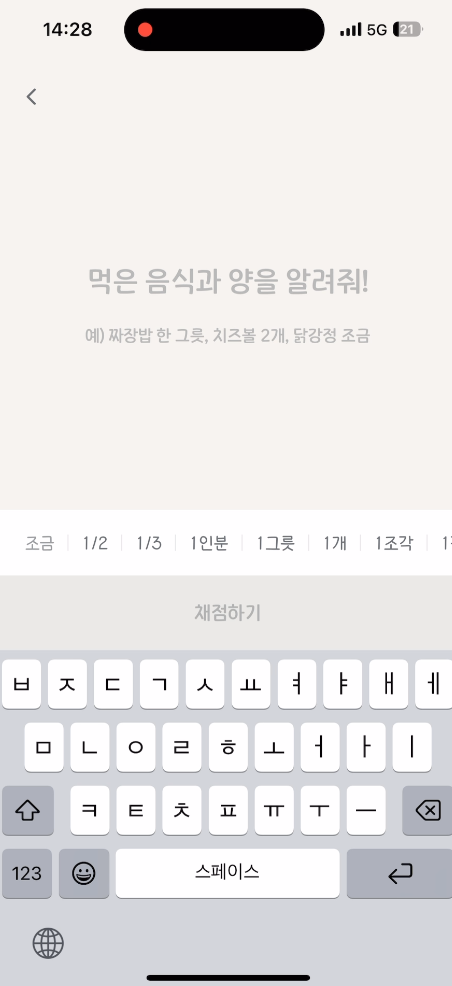 음식 및 식사량 입력 (1)